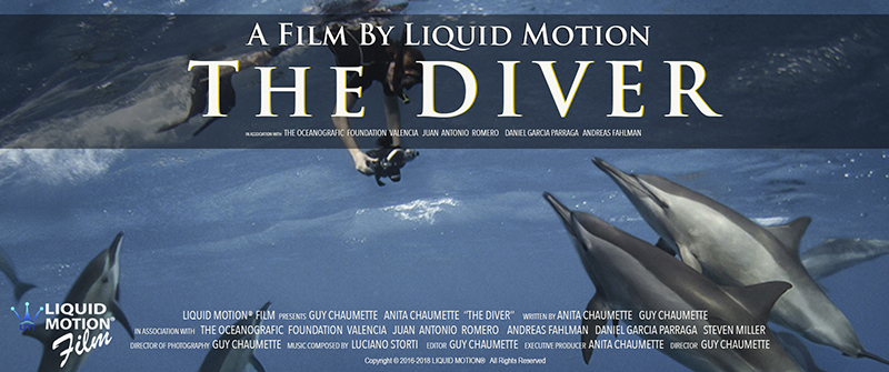 liquid motion film underwater films in production THE DIVER